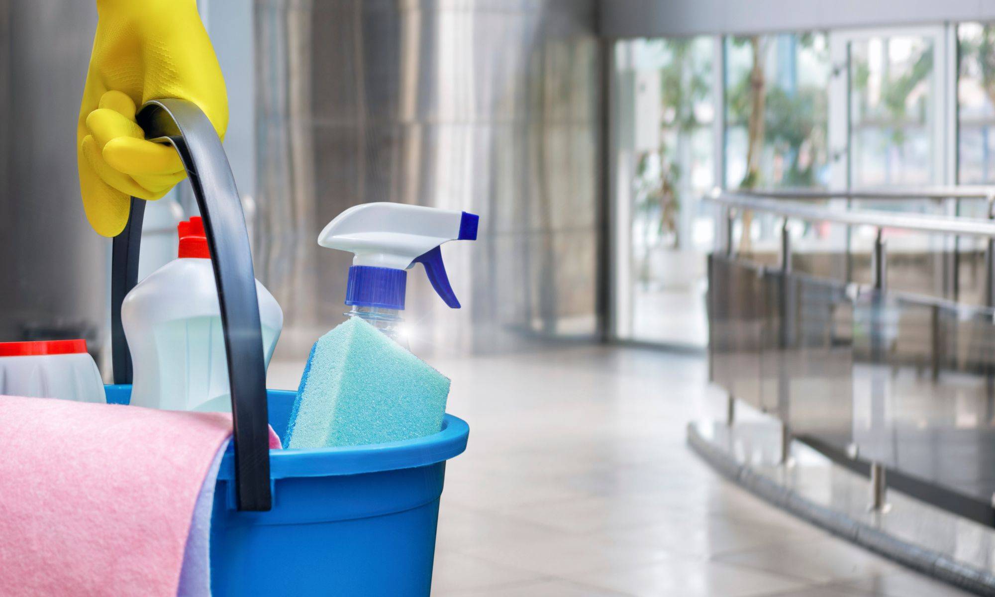 Cleaning Lady With A Bucket And Cleaning Products